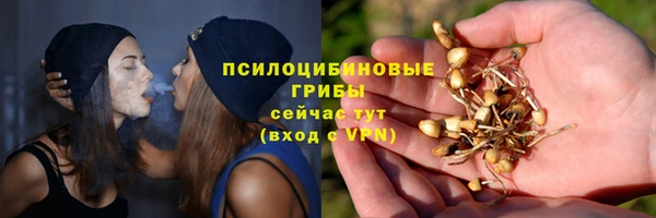 сатива Богородск