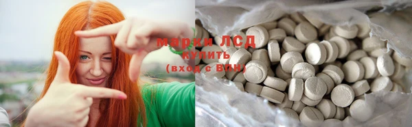 ПСИЛОЦИБИНОВЫЕ ГРИБЫ Грязи