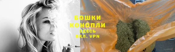 PSILOCYBIN Беломорск