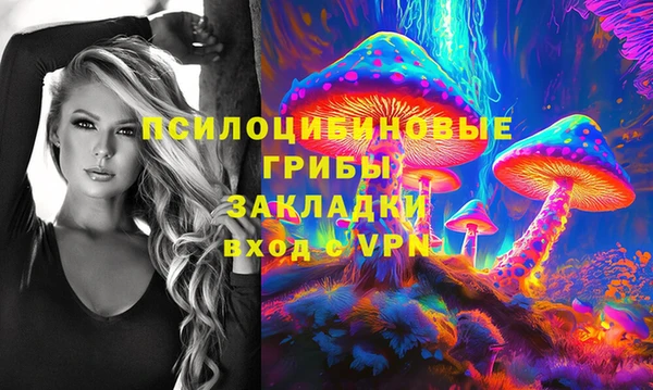 jwh Богородицк