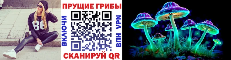 Галлюциногенные грибы Psilocybe  Красный Кут 