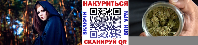 Канабис семена  Красный Кут 